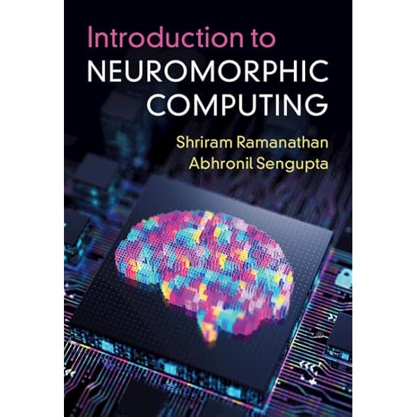Neuromorphic Computing Principles and Organization: Ben Abdallah